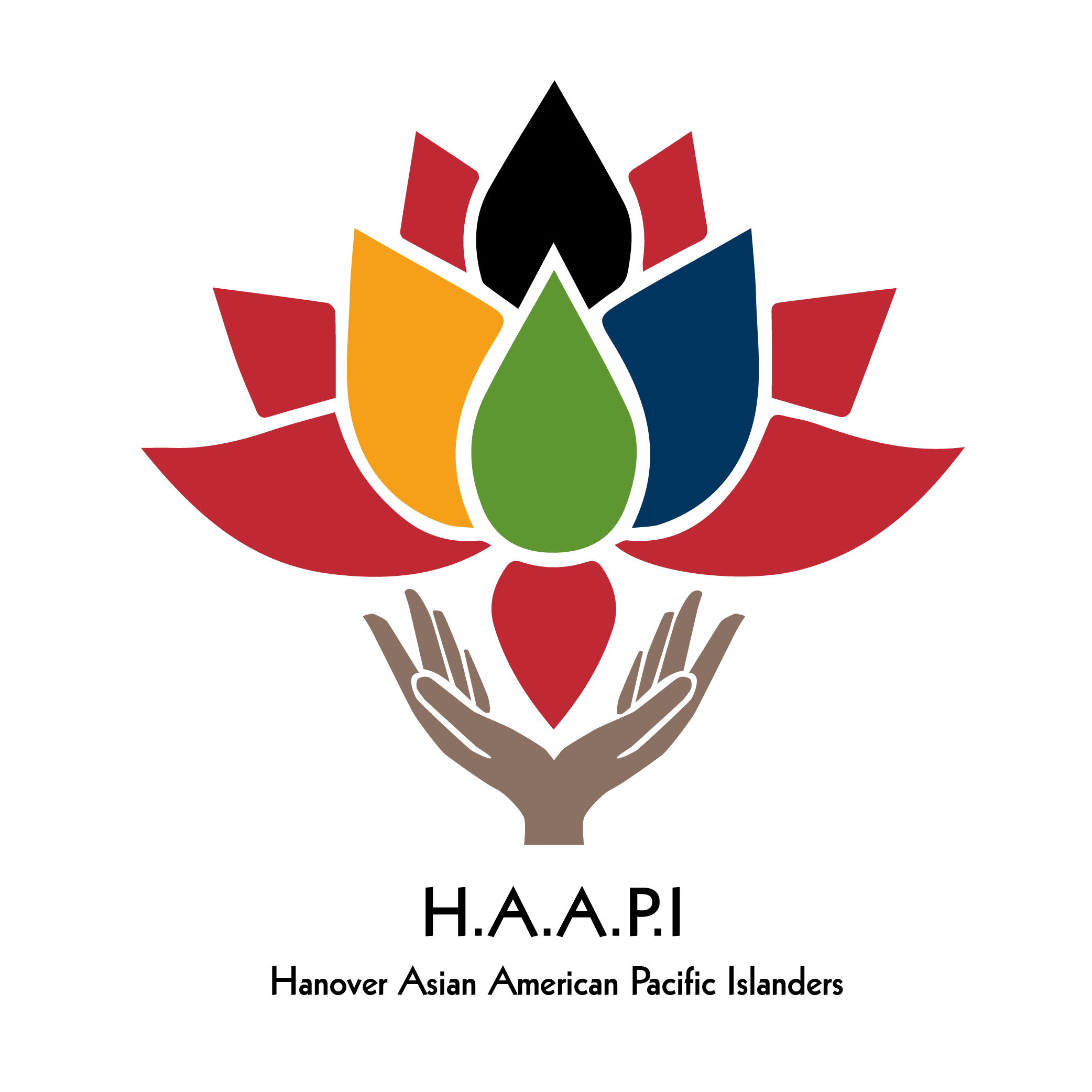 HAAPI logo