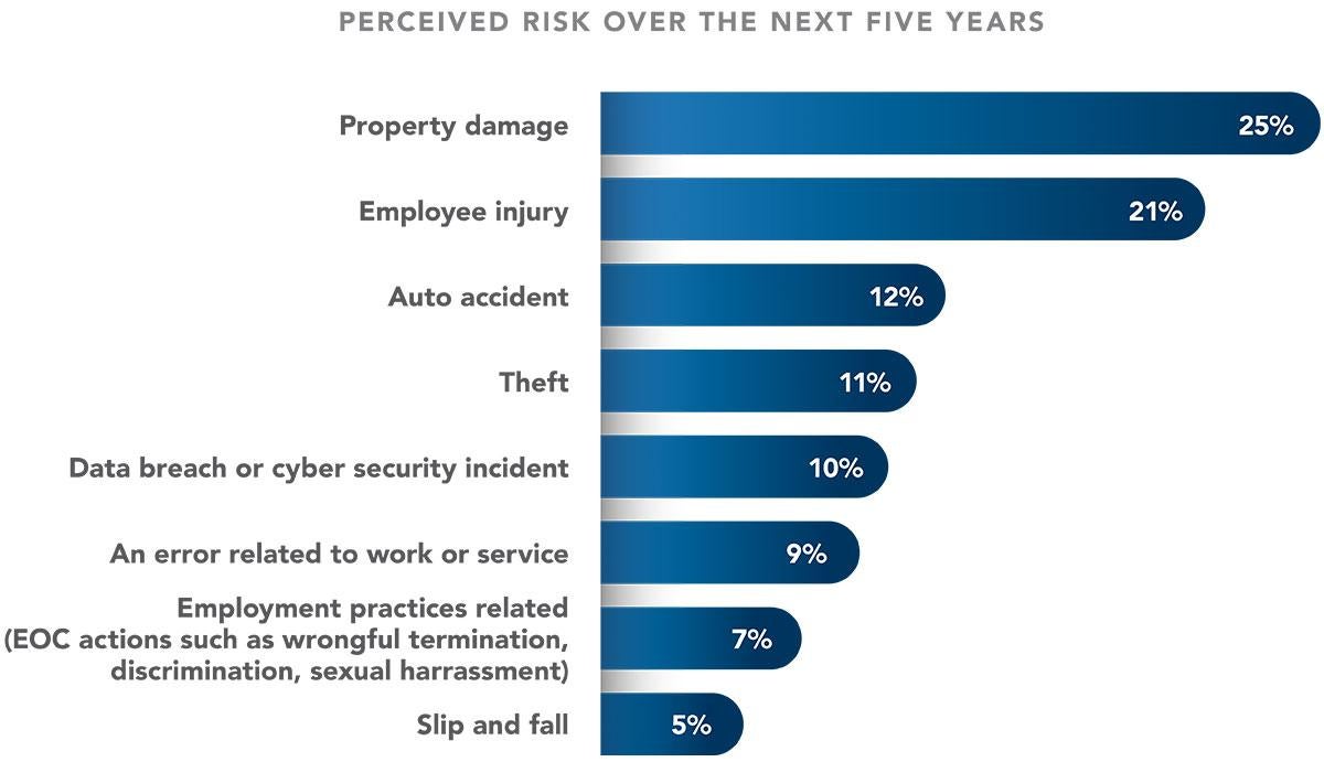 perceived risk over the next five years