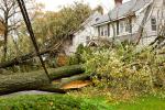 trees fallen and homes damaged from hurricane storm