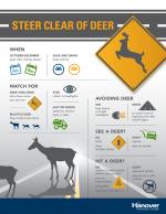 steer clear of deer infographic
