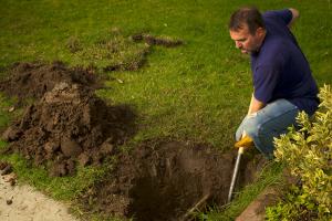man digging in front yard