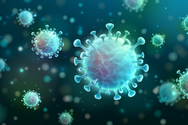 image of coronavirus cells