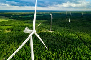 wind turbines in forest