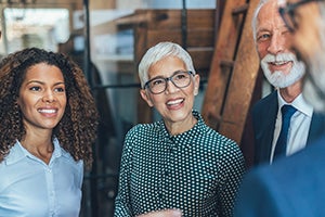 a team of business professionals