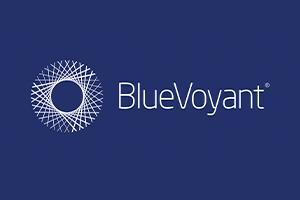 BlueVoyant