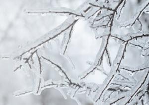 FreezingCL-FPO.jpg