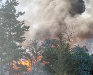 WildfirePL-FPO.jpg