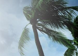 hurricanePL-FPO1.jpg
