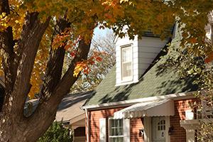 A large maple tree casts shade on a red two-story house