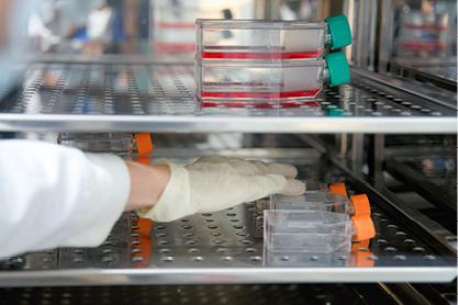 Hand with rubber glove reaching for a scientific vial in a refrigerator