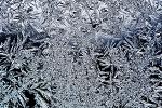 Frost crystals