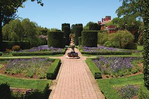 Filoli Garden of flowers and shrubs